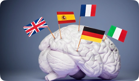 Translation Memory